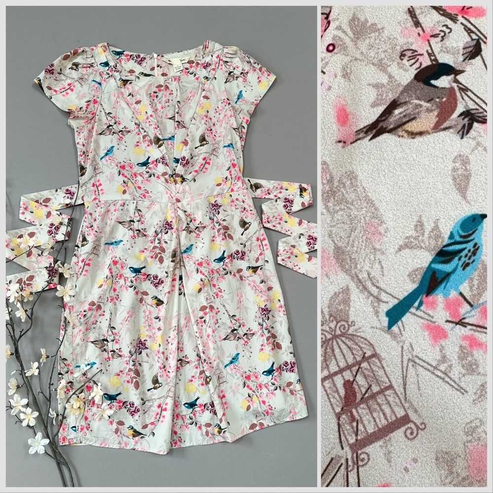 Anthropologie Yumi whimsical bird, birdcage, cherry blossom dress, S.